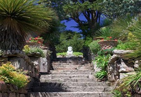 Tresco Abbey Gardens