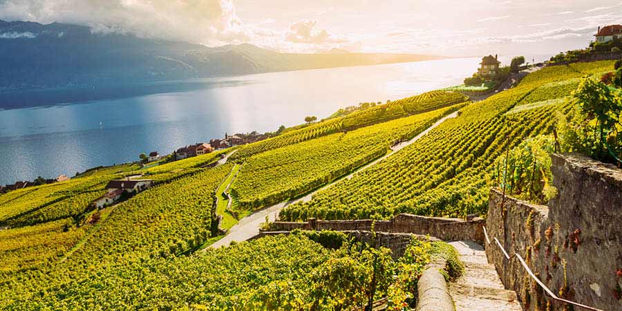 Visiting the Lavaux wine region for a tasting